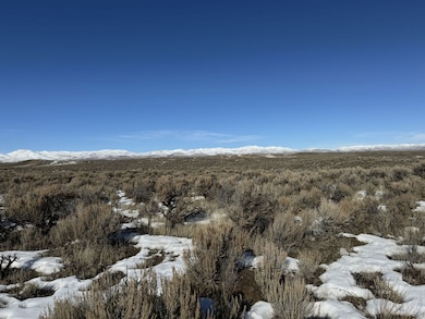 TBD Buchanan Ave, Elko, NV 89801 - photo 4