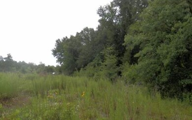 27694 41st Rd, Branford, FL 32008 - photo 4