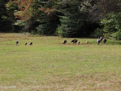 4581 Main Rd, Stamford, VT 05352 - photo 7