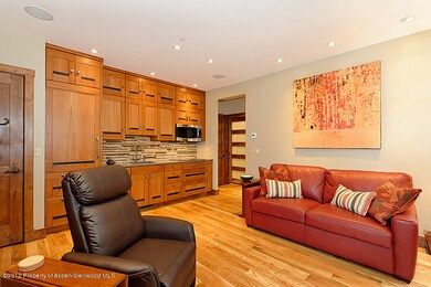 513 W Main St unit E-101, Aspen, CO 81611 - photo 6