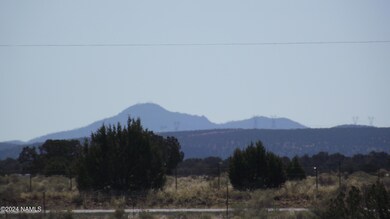 DSCF7176