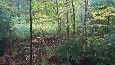 approximate area where a mobile home once sat