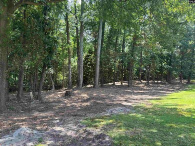 25 Crickle Creek Ln, Camden, SC 29020 - photo 7