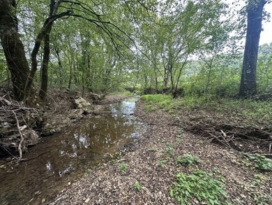 0 Club Springs Rd unit 240385, Elmwood, TN 38560 - photo 4