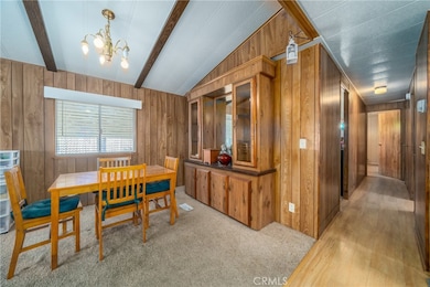 5935 Live Oak Dr unit 25, Kelseyville, CA 95451 - photo 5