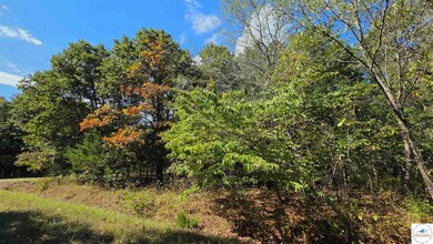 Lot 2172 Forbes Fay Rd, Edwards, MO 65326 - photo 3