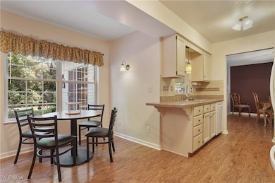 10502 White Ash Trail, Twinsburg, OH 44087 - photo 3