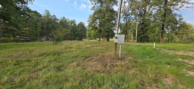 102 Owasso Trail, Bismarck, AR 71929 - photo 4