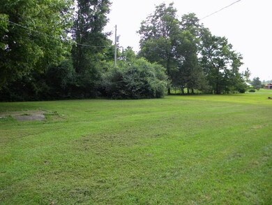 Level back yard