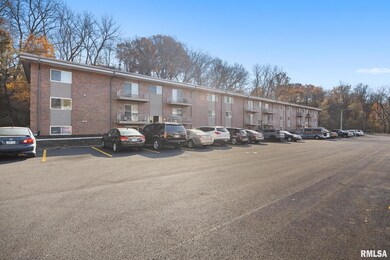 2975 W Cannes Dr unit 14, Peoria, IL 61615 - photo 4