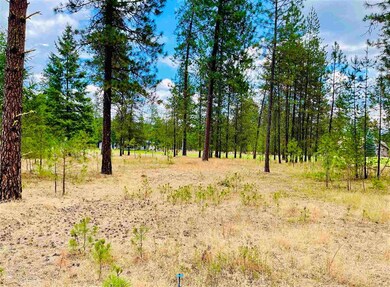 0000 Couples Ct Lot 4 Ct, Chewelah, WA 99109 - photo 6