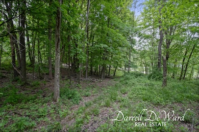 V/L N Ridge Ct, Middleville, MI 49333 - photo 7