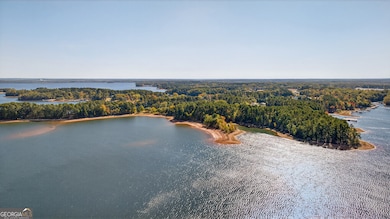 Aerial shot of two coves behind property from lake