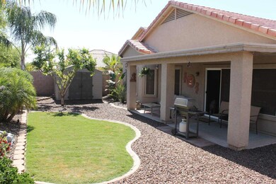 Beautiful Backyard