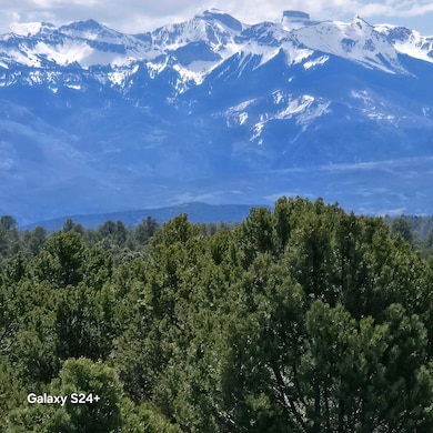 173 Kendall Rd, Ridgway, CO 81432 - photo 6