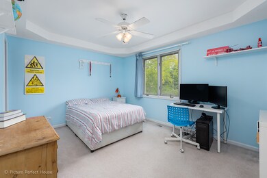 1732 Robert Ln, Naperville, IL 60564 - photo 6