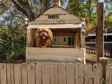 Sugar Bear in her elevated dog house say 