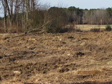 249 Orchard Rd, Elm City, NC 27822 - photo 7