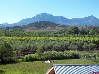 Who wouldn't love a view like this? Orchards and m