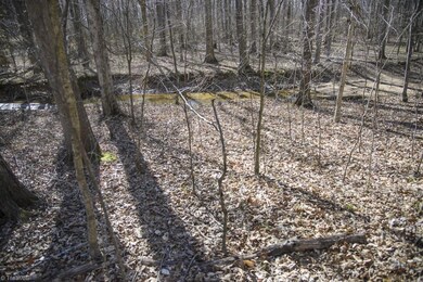 Lot Has A Gentle Slope To Creek