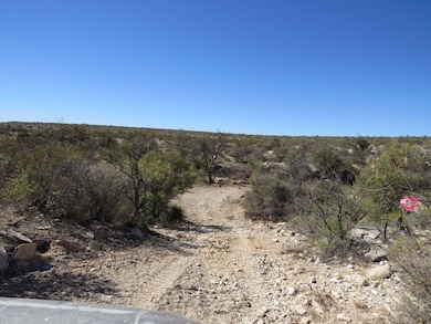 Tract 30 Indian Waterhole Ranch, Dryden, TX 78851 - photo 2