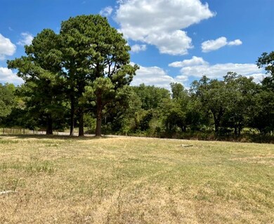 19800 Gaddy Rd, Tecumseh, OK 74873 - photo 3