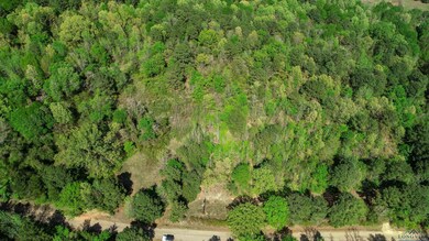 Bird's eye view with a forest view