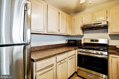 6830 Hayley Ridge Way unit L, Baltimore, MD 21209 - photo 7