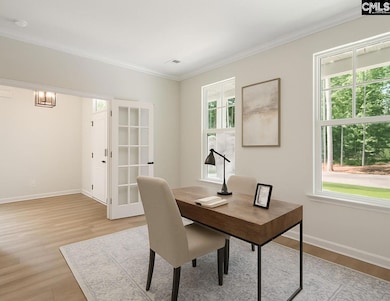 253 Horse Farm Place, Lexington, SC 29072 - photo 4