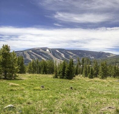 0 Swift Bear Rd unit 197571, Big Sky, MT 59716 - photo 3