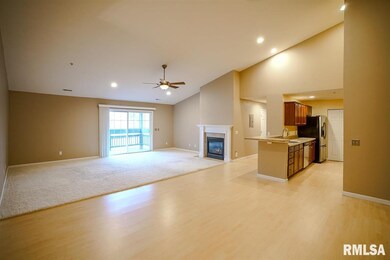 4511 N Tallgrass Ln unit 204, Peoria, IL 61615 - photo 4