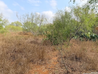 569 Couser Blvd, Charlotte, TX 78011 - photo 3