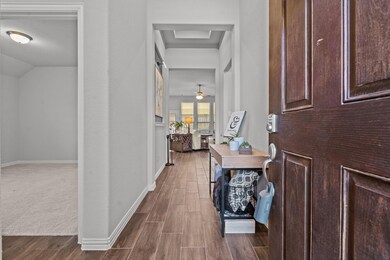 413 Vaquero St, Weatherford, TX 76087 - photo 4