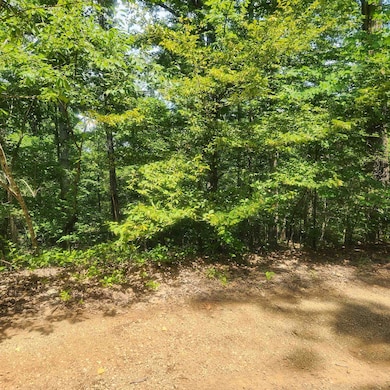 L-27, B-15 Goti Dr, Cherokee Village, AR 72529 - photo 6