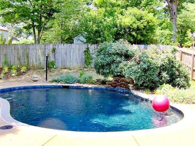 GUNITE SALT WATER (low maintenance) POOL with ston