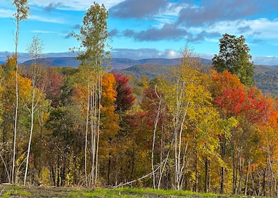 0 Swaller Hill Rd unit 24141835, Sharon, CT 06796 - photo 3