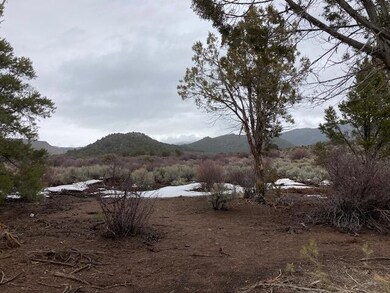 view from back of lot