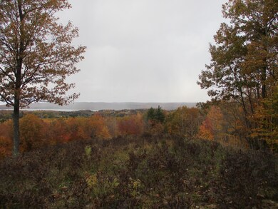 0 Valleyview Ridge unit 3 21113508, Manistee, MI 49660 - photo 7