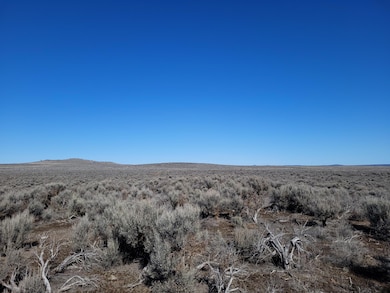 0800 Un Named Rd, Christmas Valley, OR 97641 - photo 2