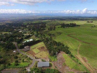 993 Upper Kimo Dr, Kula, HI 96790 - photo 2