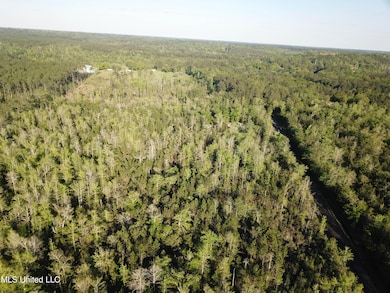 0 Peewee Miller Rd, Lucedale, MS 39452 - photo 7