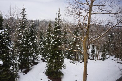 223 W Hunter Ridge Dr unit E306, Brian Head, UT 84719 - photo 5