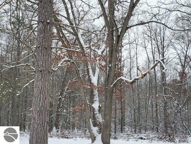 0 Clear Lake Rd unit 1930102, West Branch, MI 48661 - photo 7