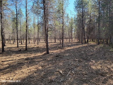 Mel's 5 ac back to front