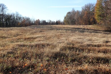 0 White Hollow Ln, Lafayette, TN 37083 - photo 7