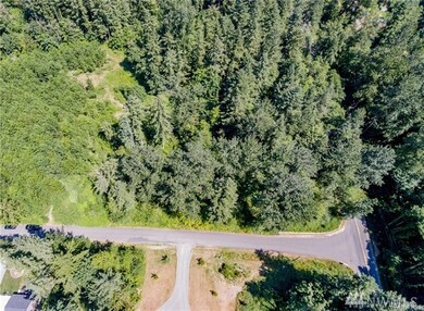 9703 274th St E, Graham, WA 98338 - photo 3