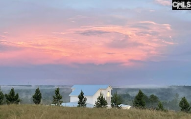 4018 Arafel Dr, Lexington, SC 29073 - photo 6