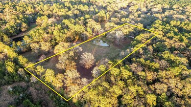 6676 Daw Collins Rd, Cleveland, TX 77328 - photo 4