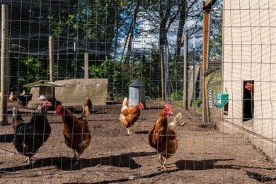 29326 28th Ave NW, Stanwood, WA 98292 - photo 5