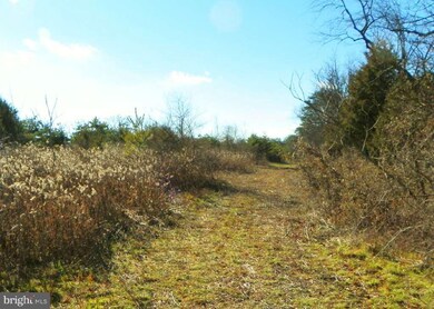 250 Lakeview Rd, Newport, PA 17074 - photo 3